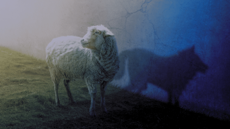 Schaf mit Wolf-Schatten
