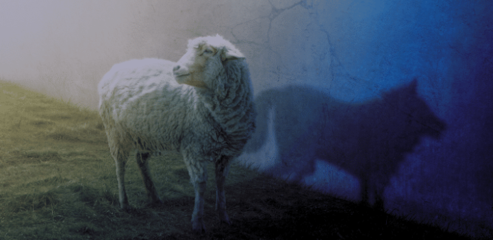 Schaf mit Wolf-Schatten